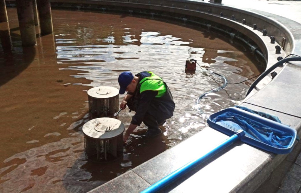 1003 image for slide