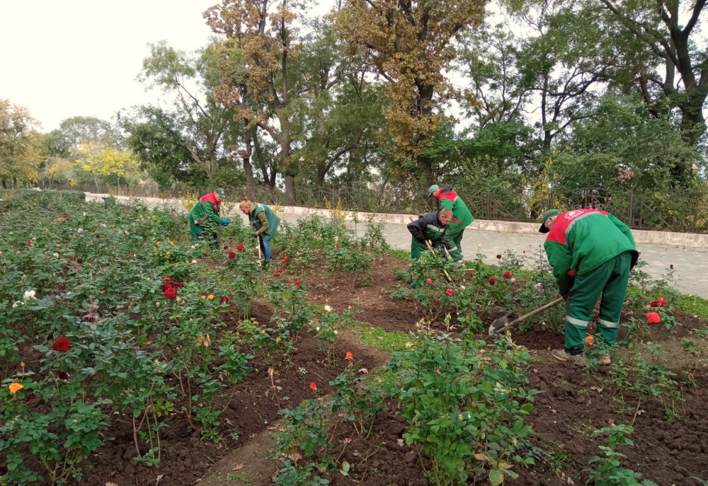 1059 image for slide