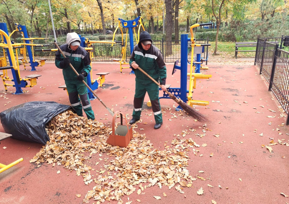 1061 image for slide