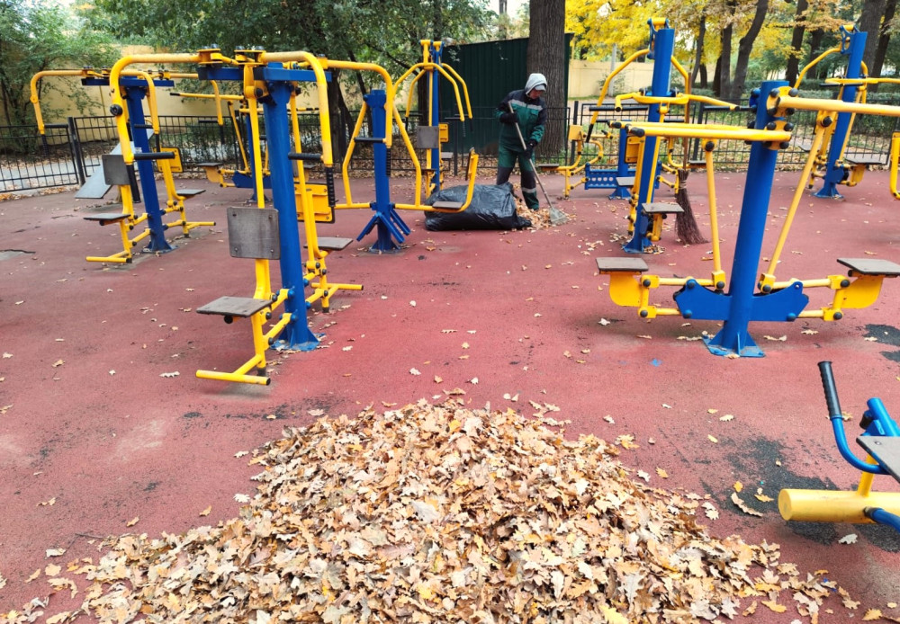 1065 image for slide