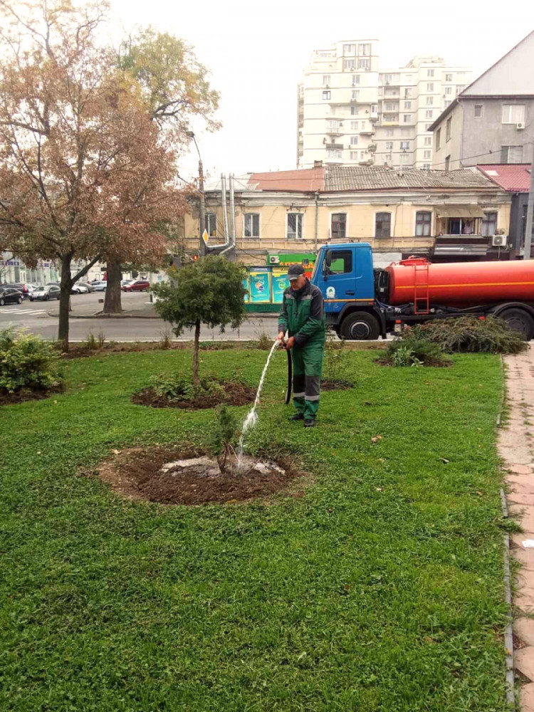 1067 image for slide