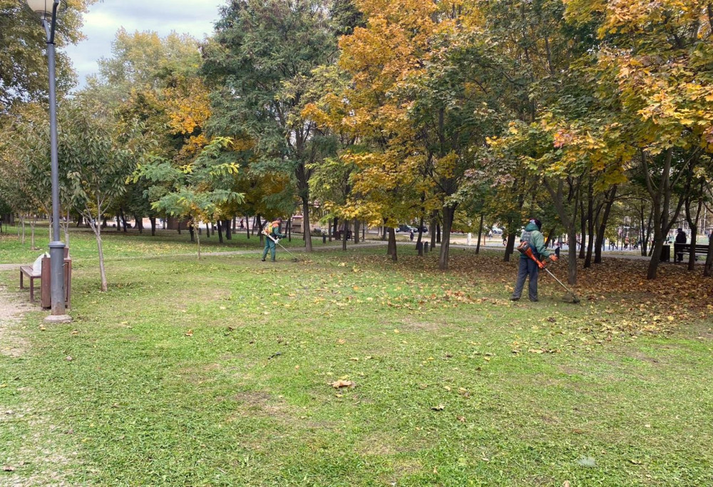 1071 image for slide