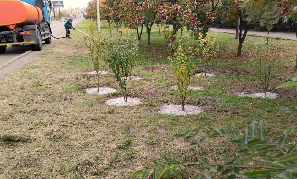 1072 image for slide