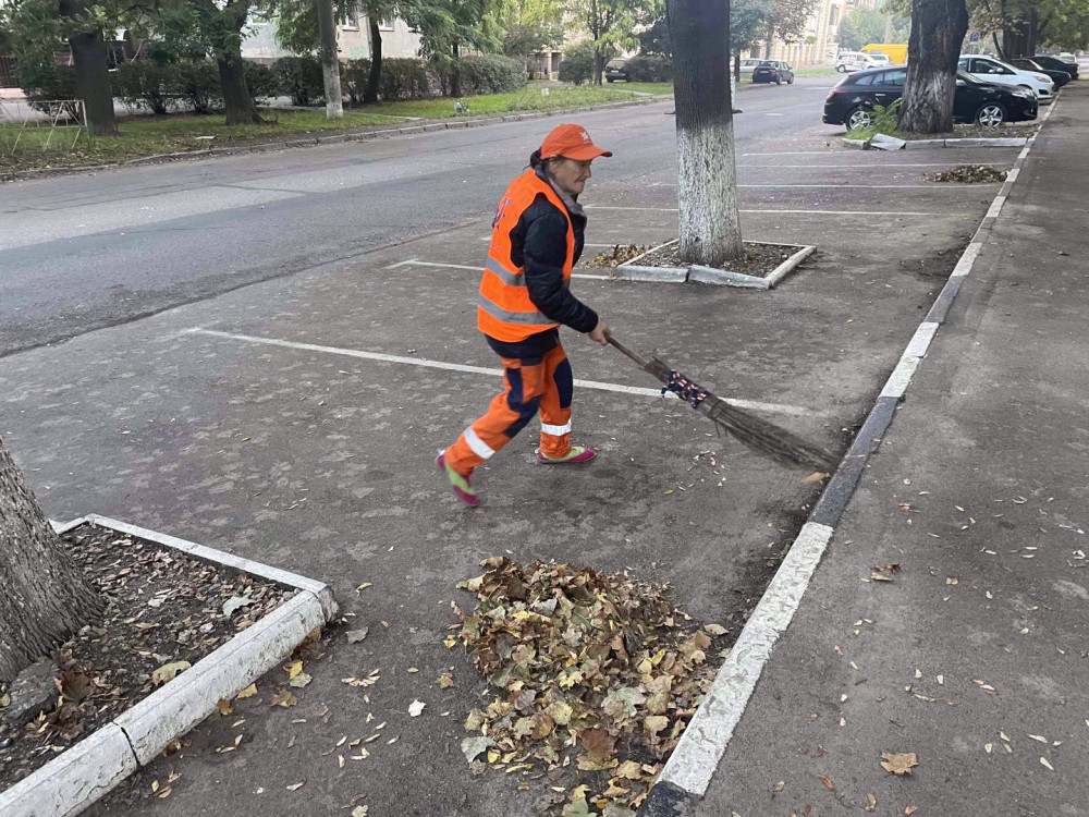 1103 image for slide