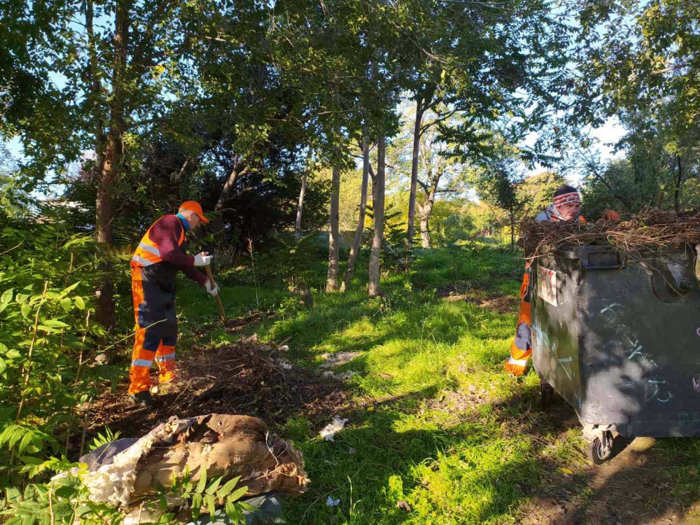 1113 image for slide