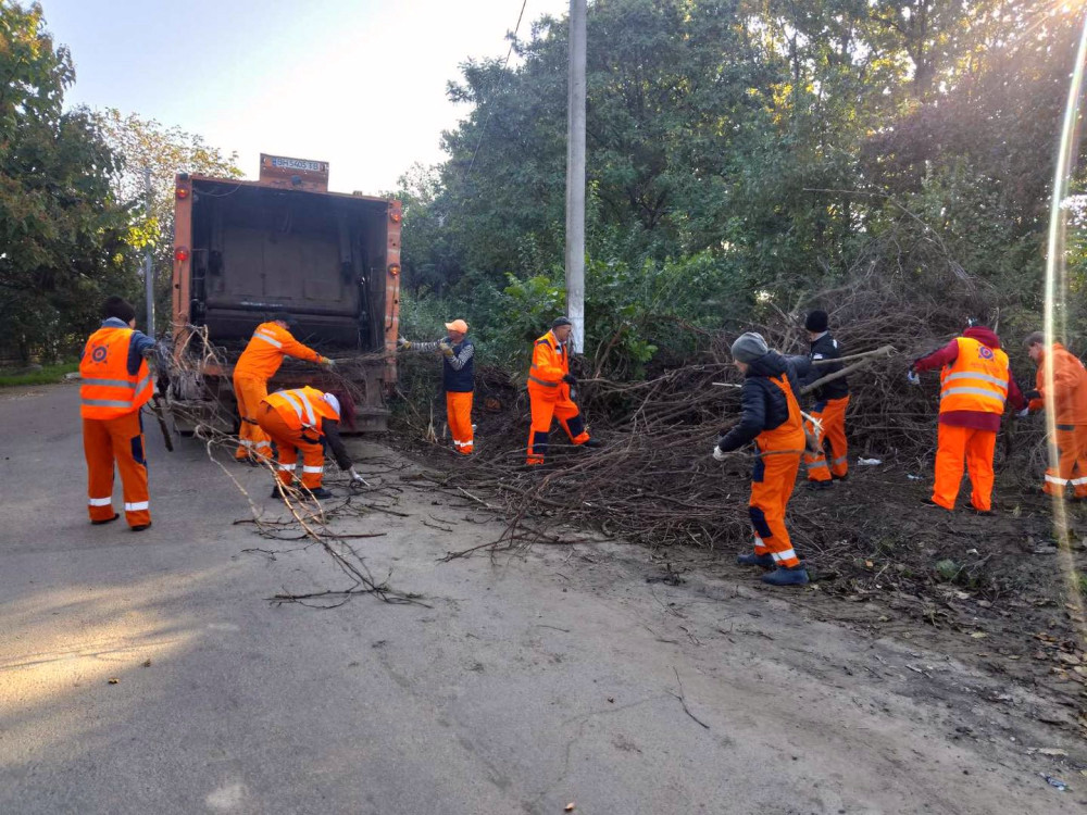 1123 image for slide