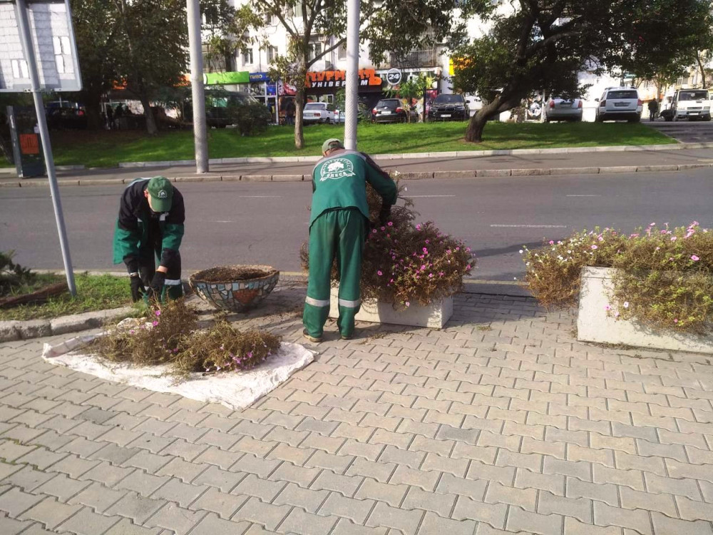 1167 image for slide