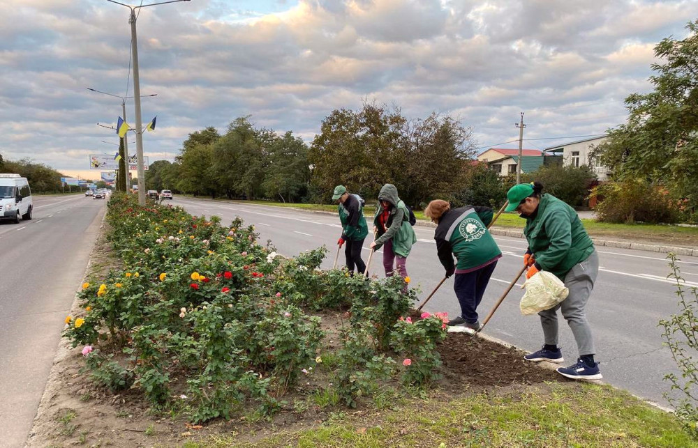 1171 image for slide