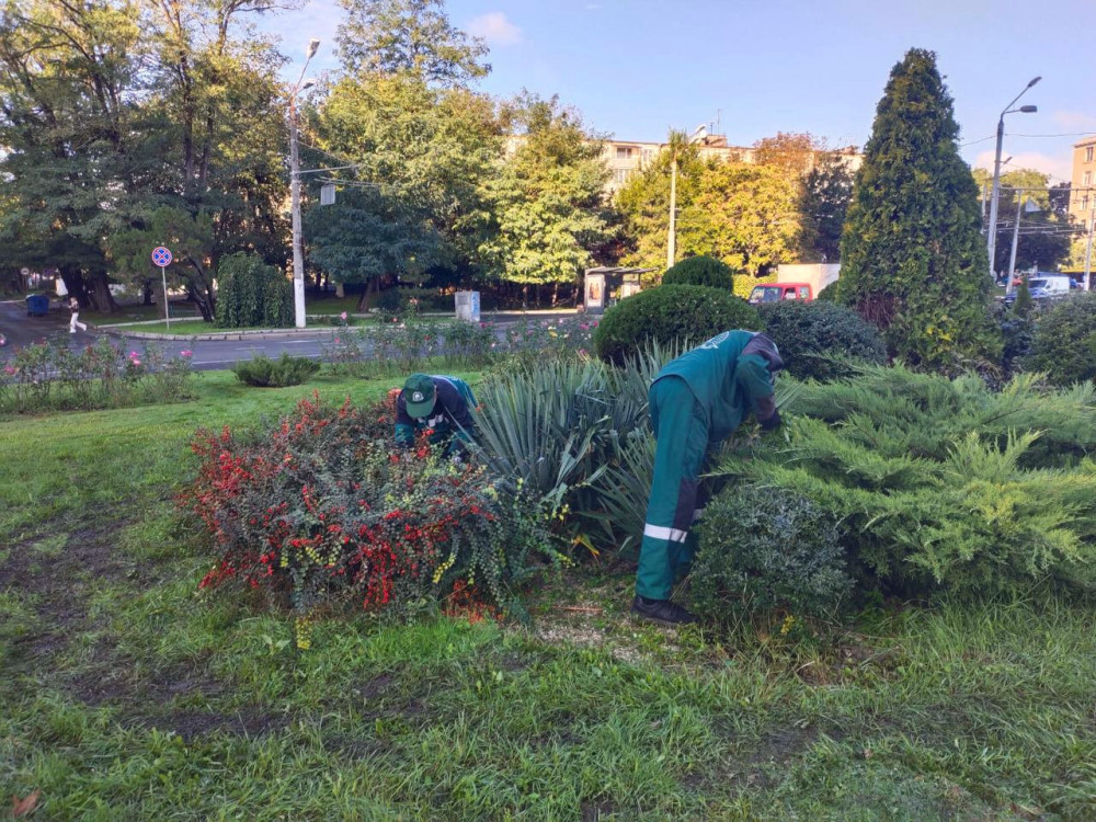 1176 image for slide