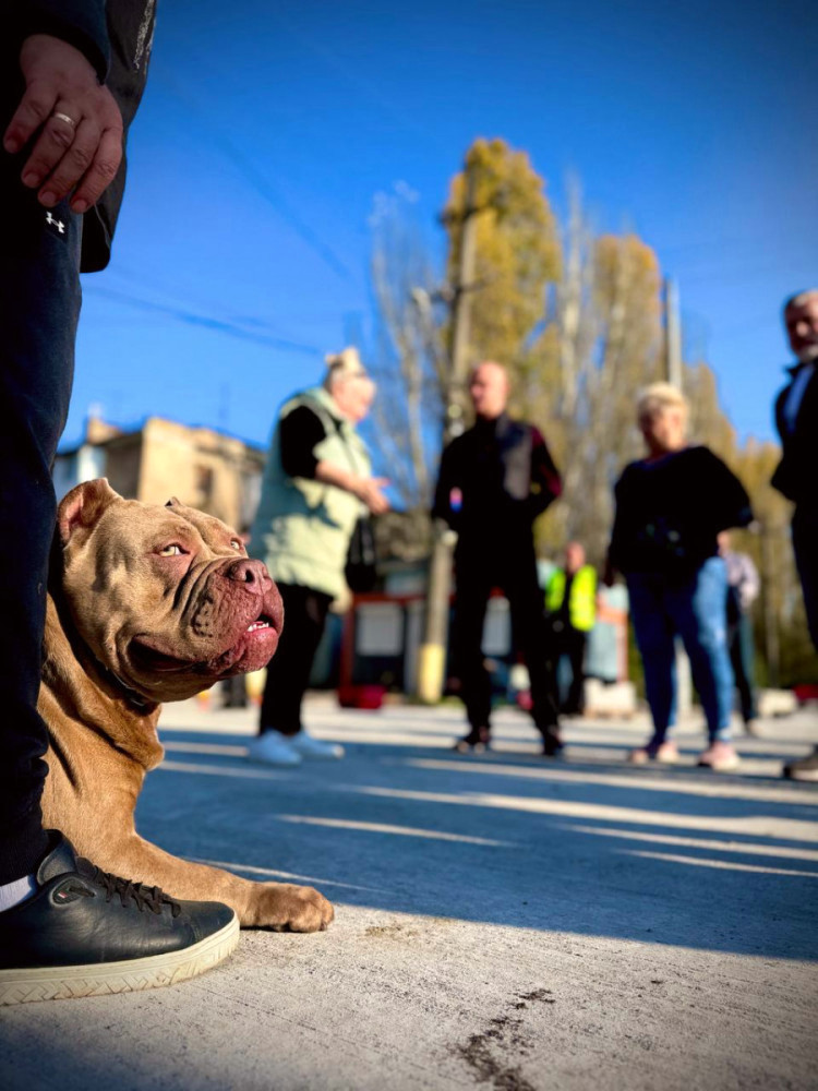 1186 image for slide