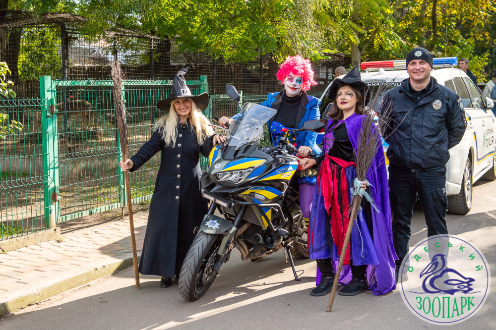 2313 image for slide