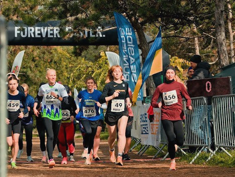 2384 image for slide