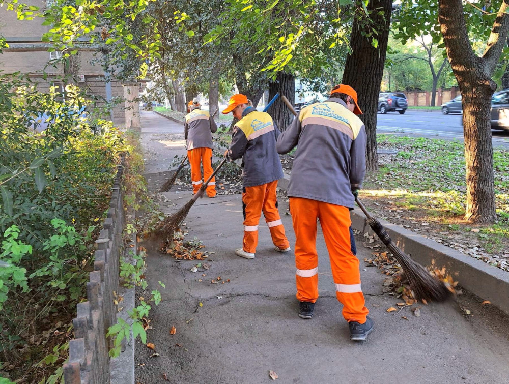 2419 image for slide