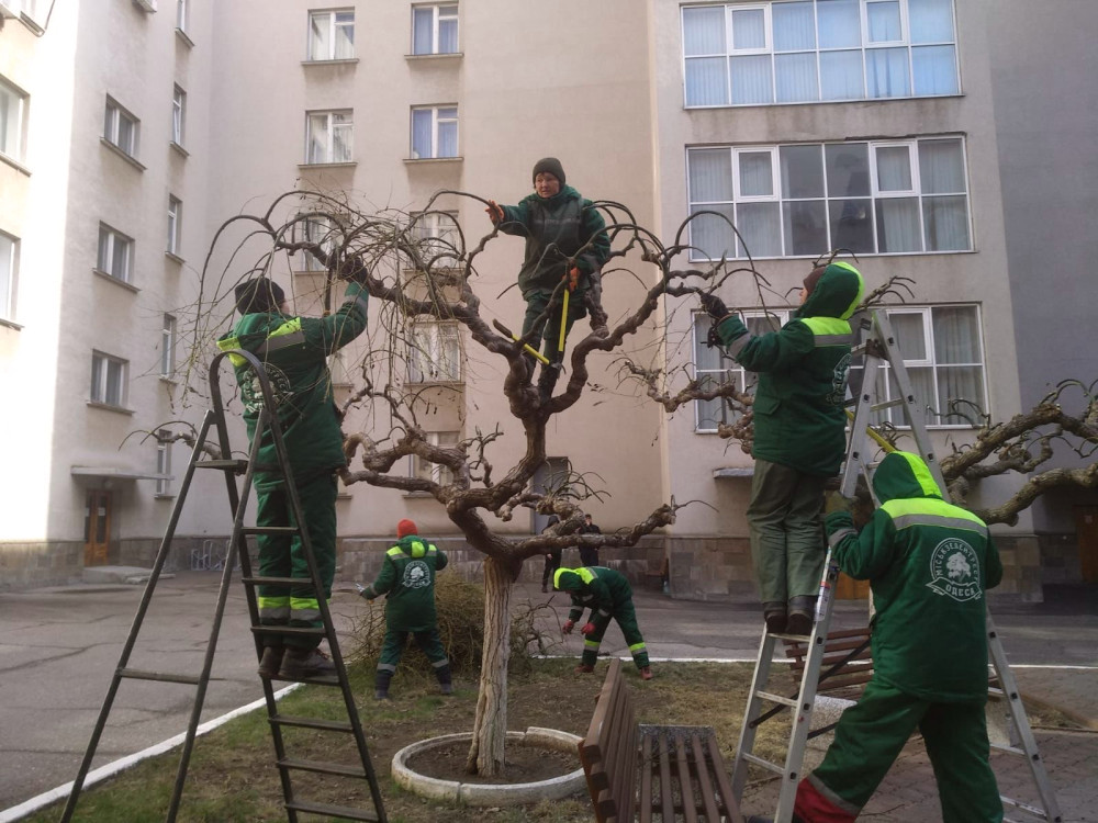 2671 image for slide