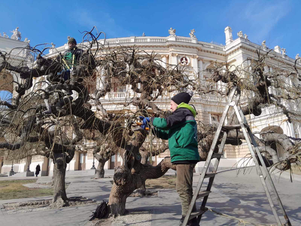 2676 image for slide