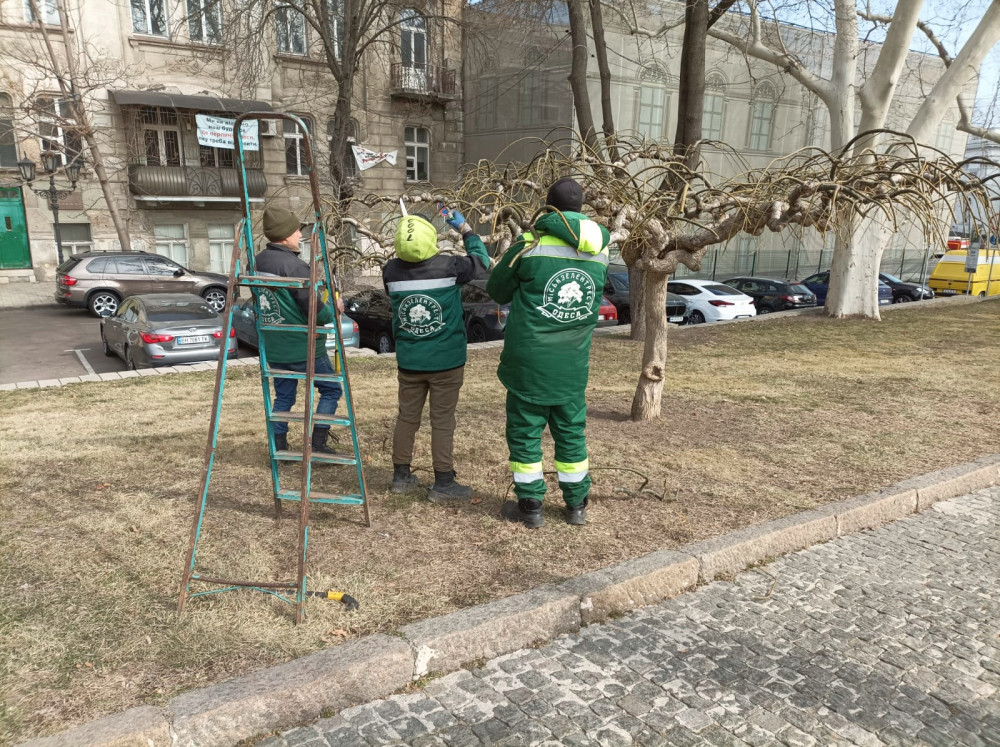 2677 image for slide