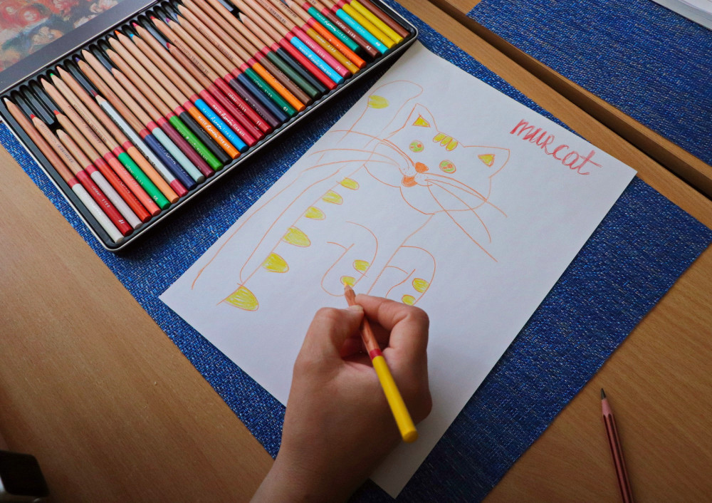 2837 image for slide