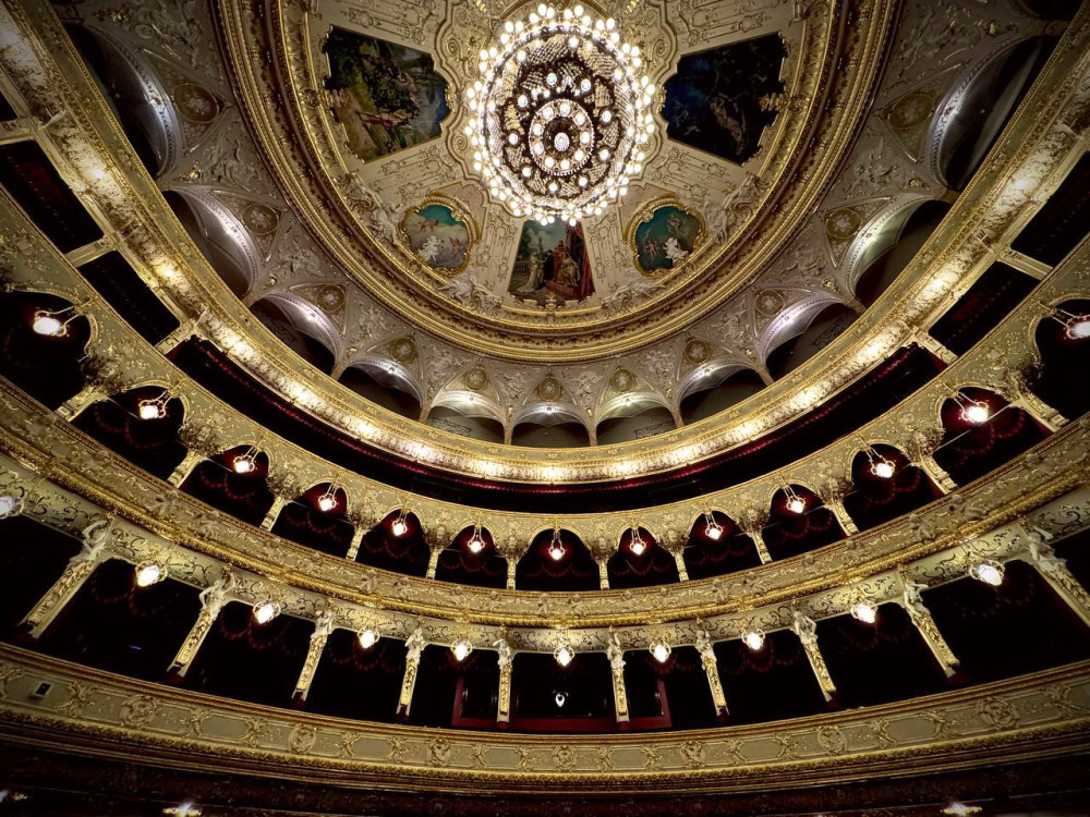 2913 image for slide