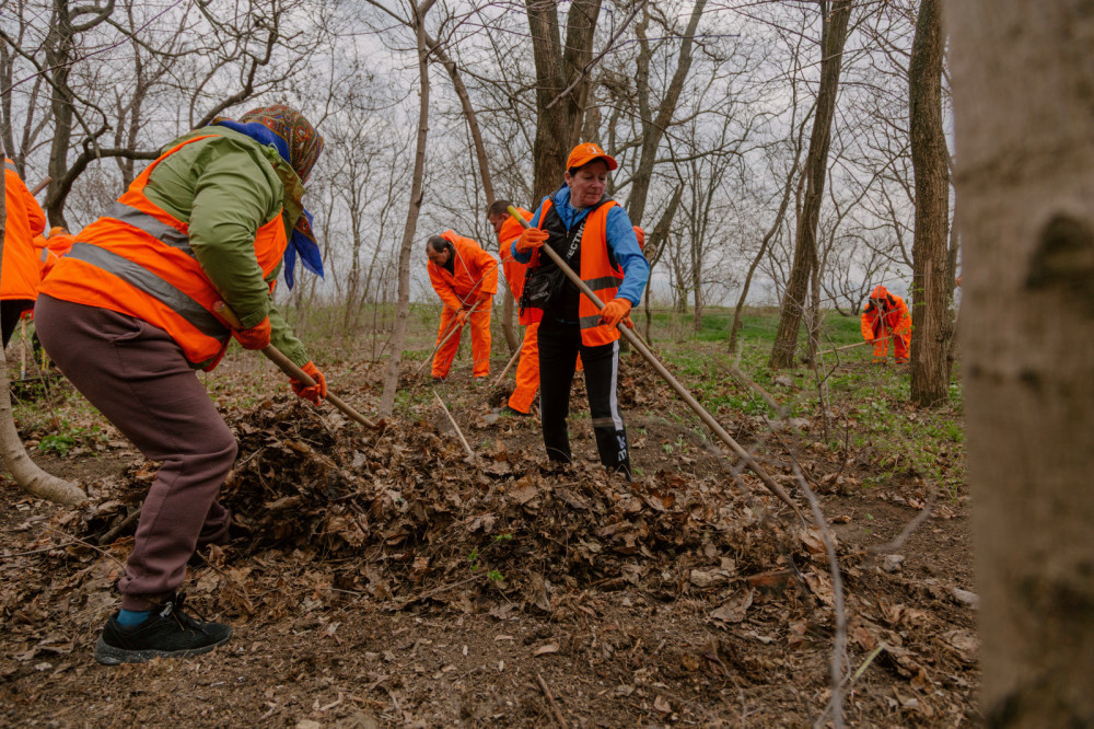 3000 image for slide