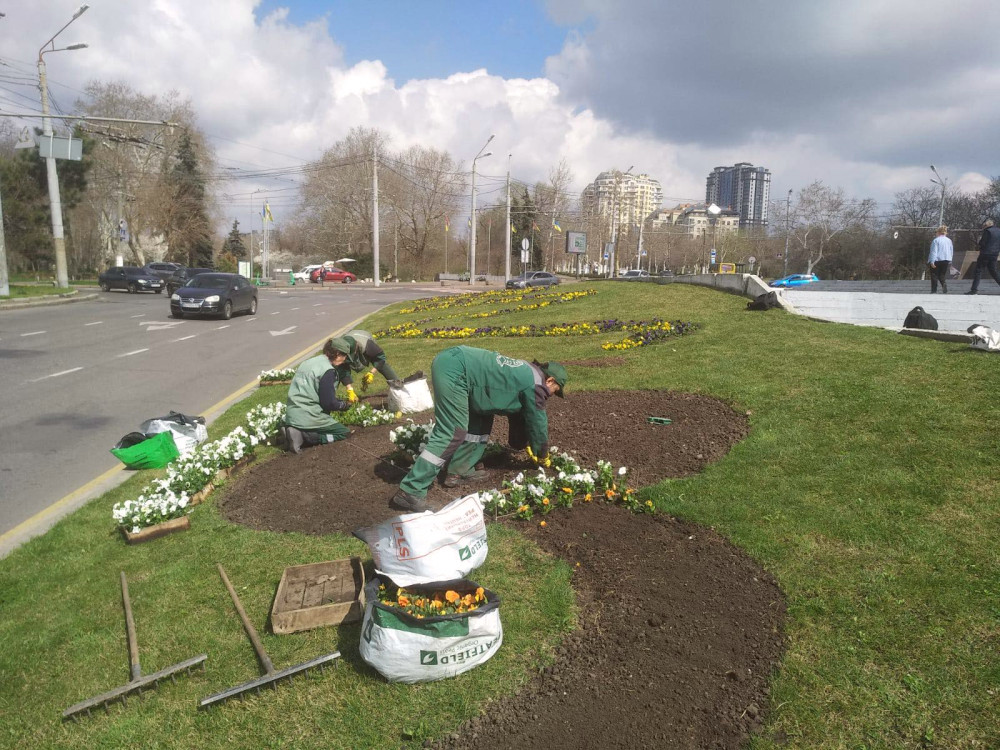 3045 image for slide