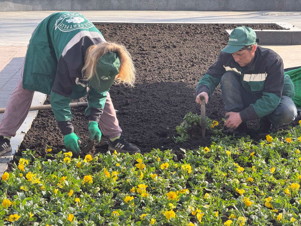 3047 image for slide