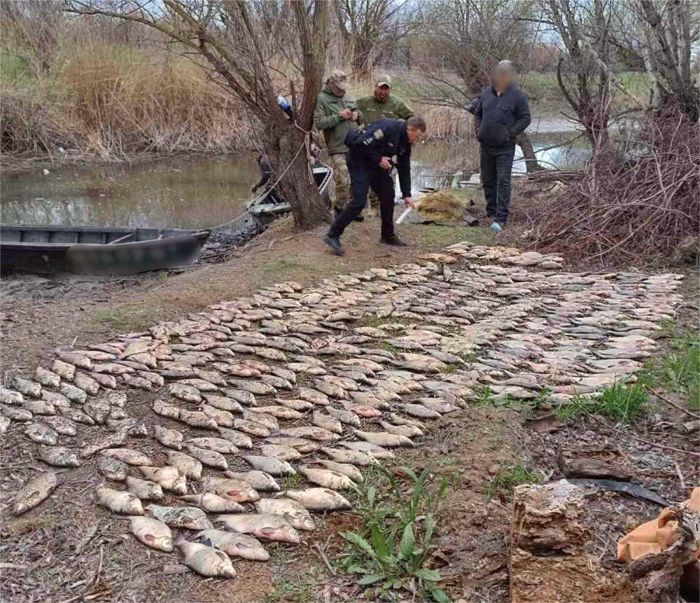 3060 image for slide