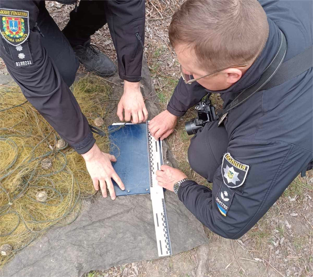 3062 image for slide