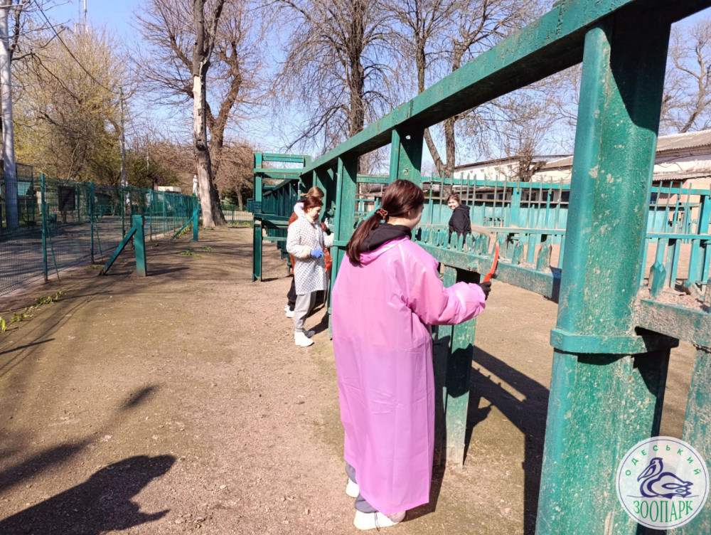 3142 image for slide