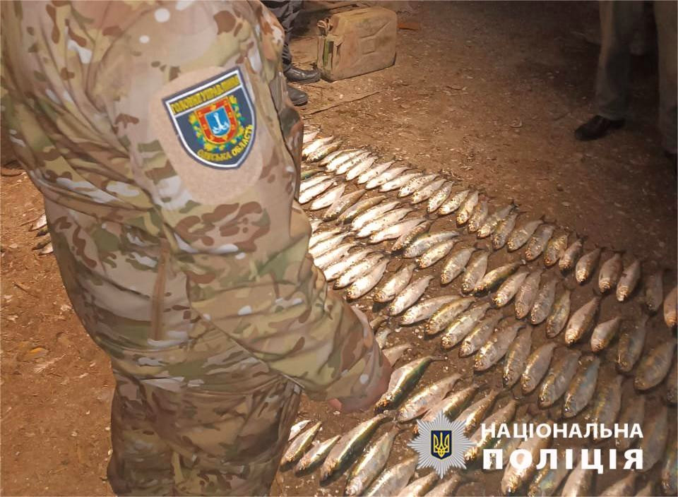 3272 image for slide