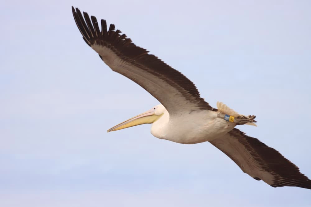 3347 image for slide