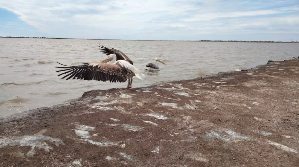 3349 image for slide