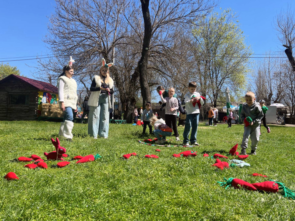 3390 image for slide