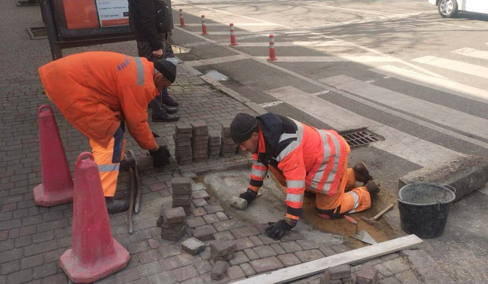 3401 image for slide