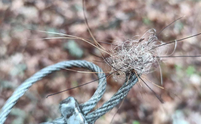 3436 image for slide