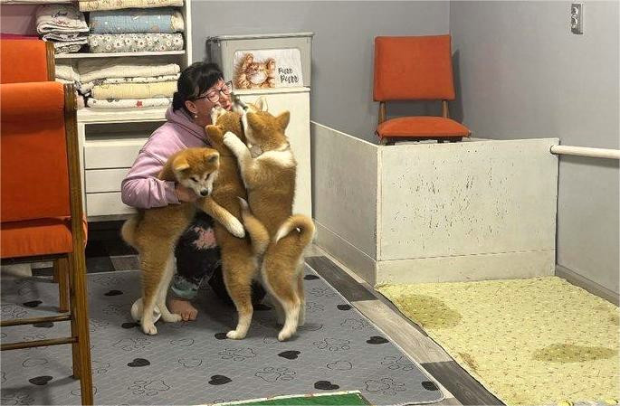 3448 image for slide