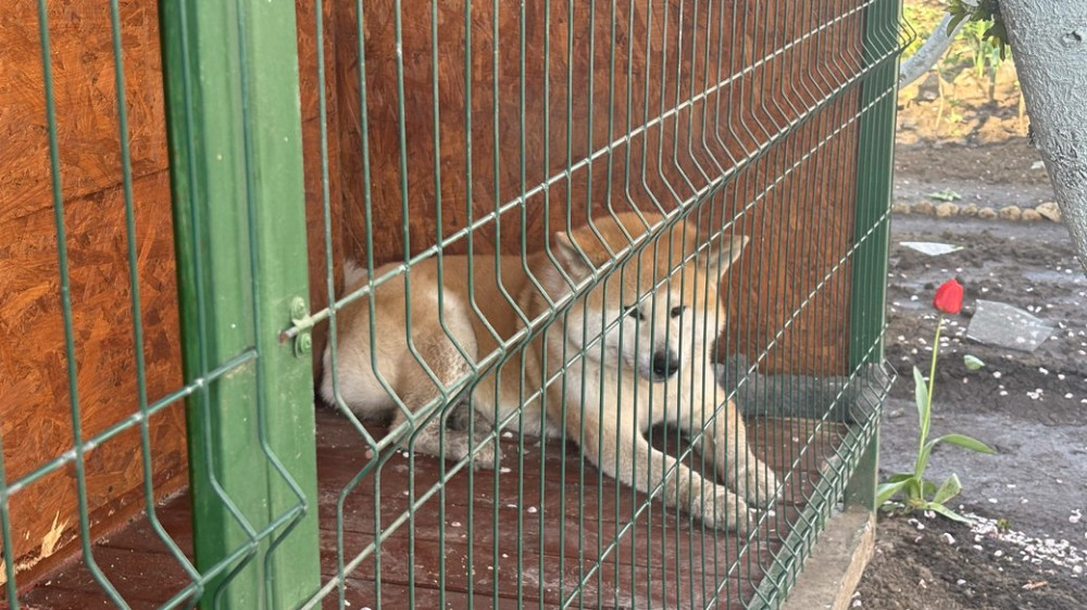 3449 image for slide