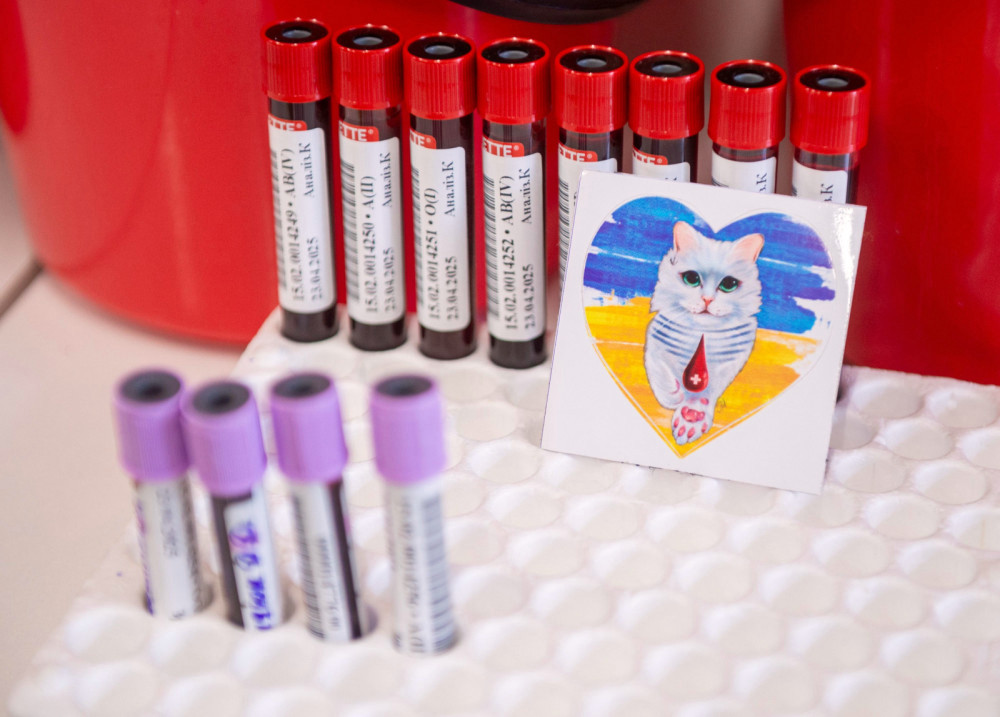 3481 image for slide