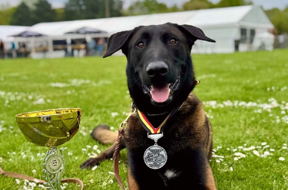 3517 image for slide