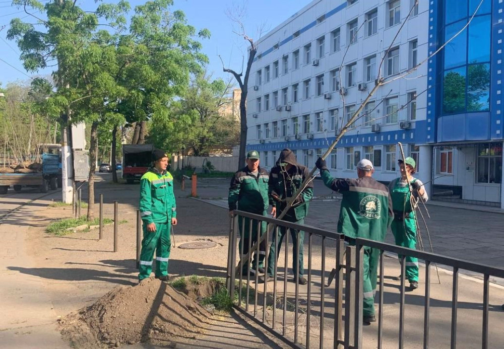 3520 image for slide