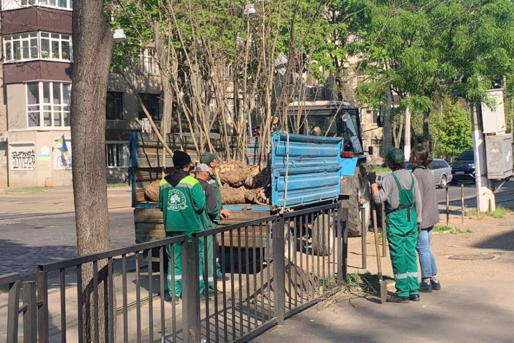 3521 image for slide