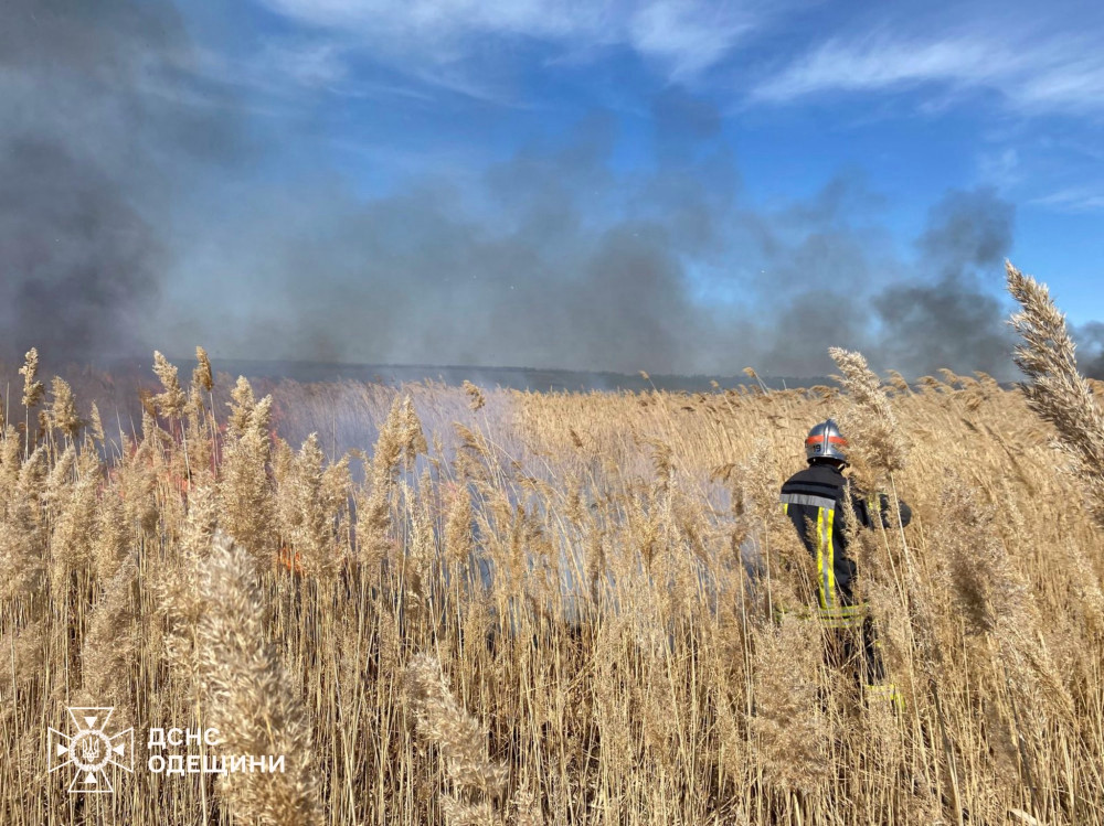 3602 image for slide