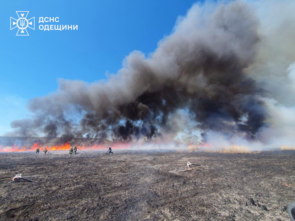 3603 image for slide