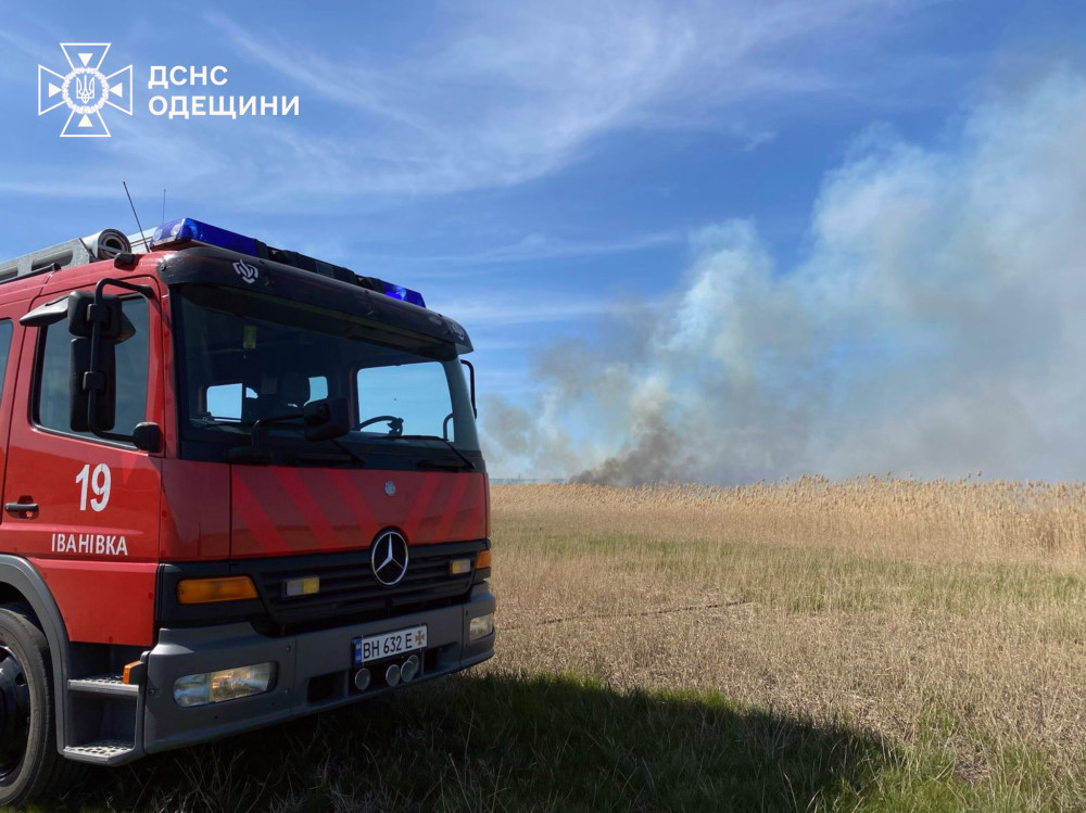 3604 image for slide