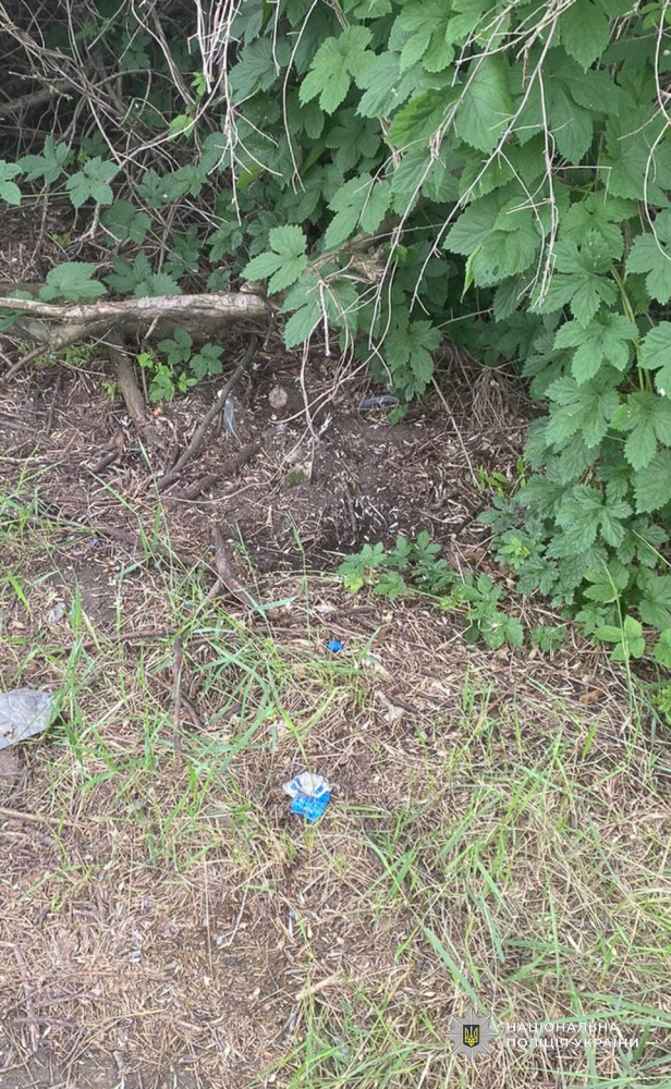 3839 image for slide