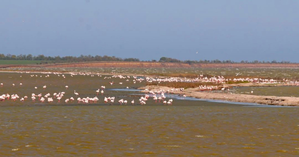 4080 image for slide