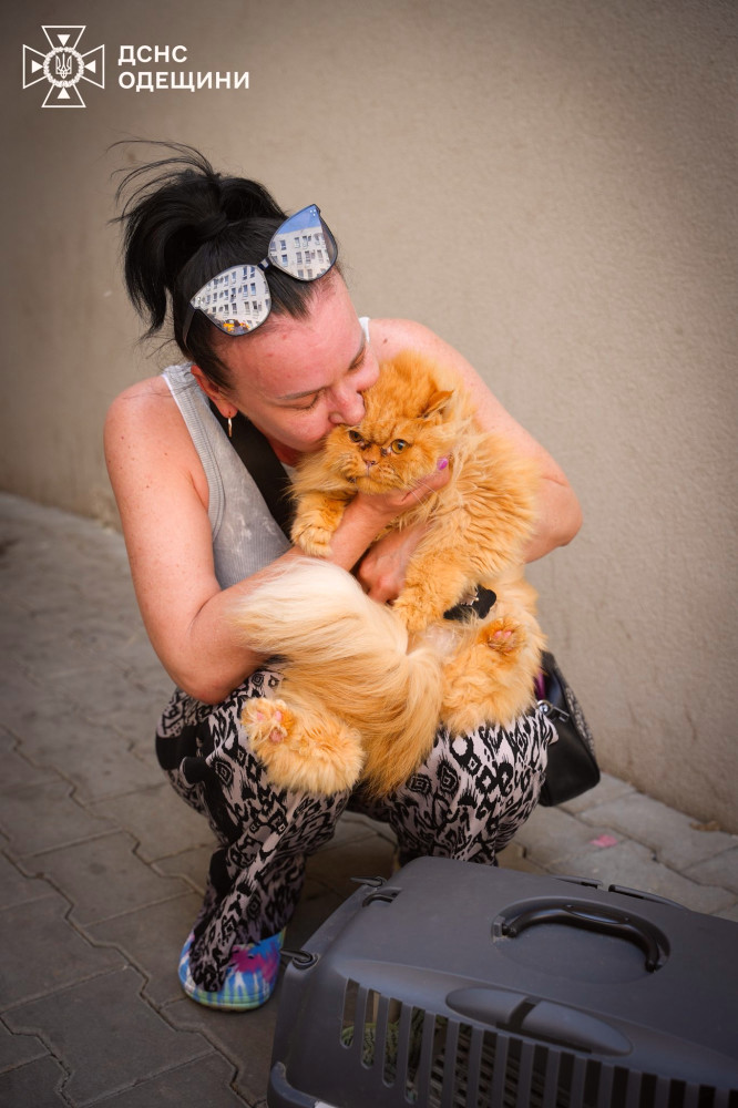 4094 image for slide