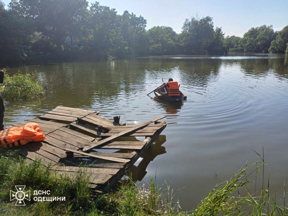 4223 image for slide