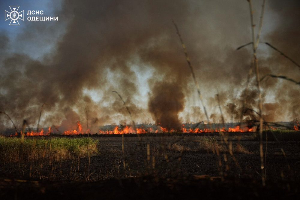 4239 image for slide