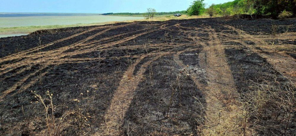 4337 image for slide