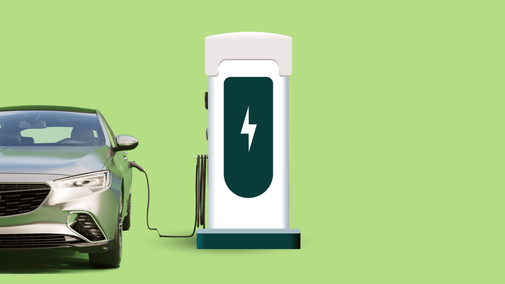 4505 image for slide